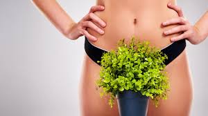 4-6 Week Brazilian (women)