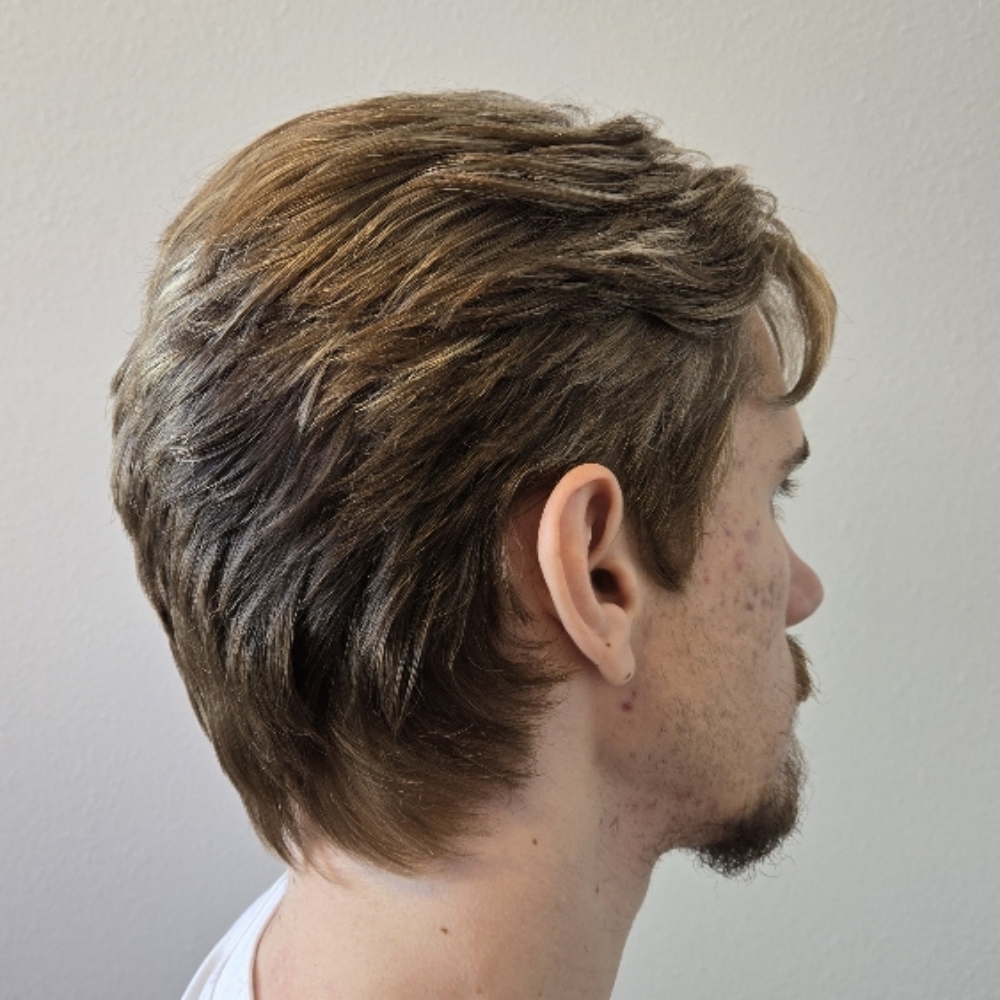 Accent Highlight at Lavender Lane Salon in North Richland Hills, TX