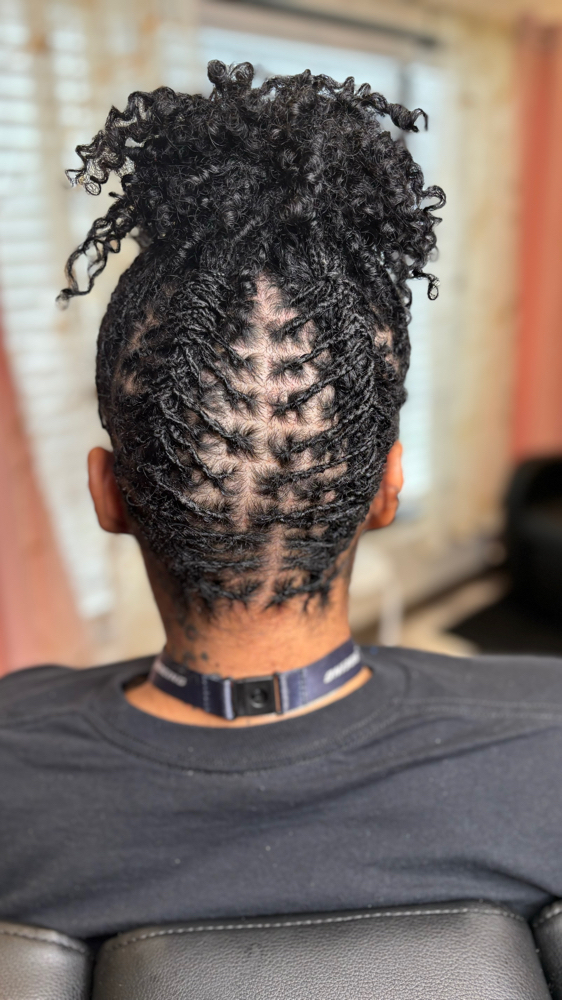 Micro Loc Wash & Style ONLY