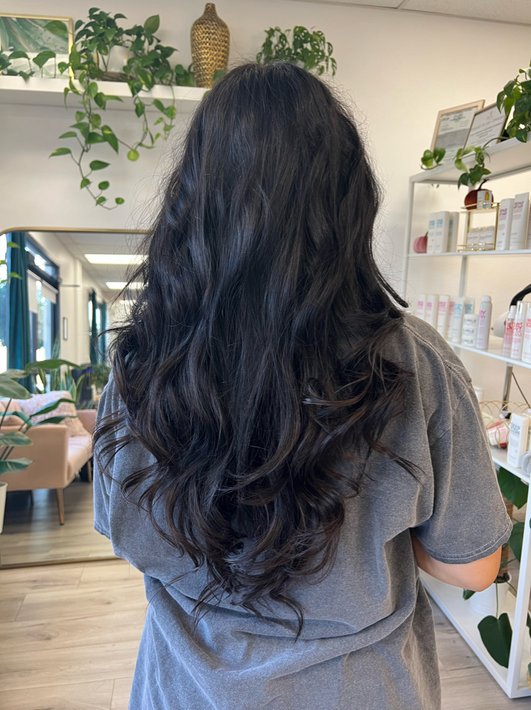Haircut + Blowout / Style