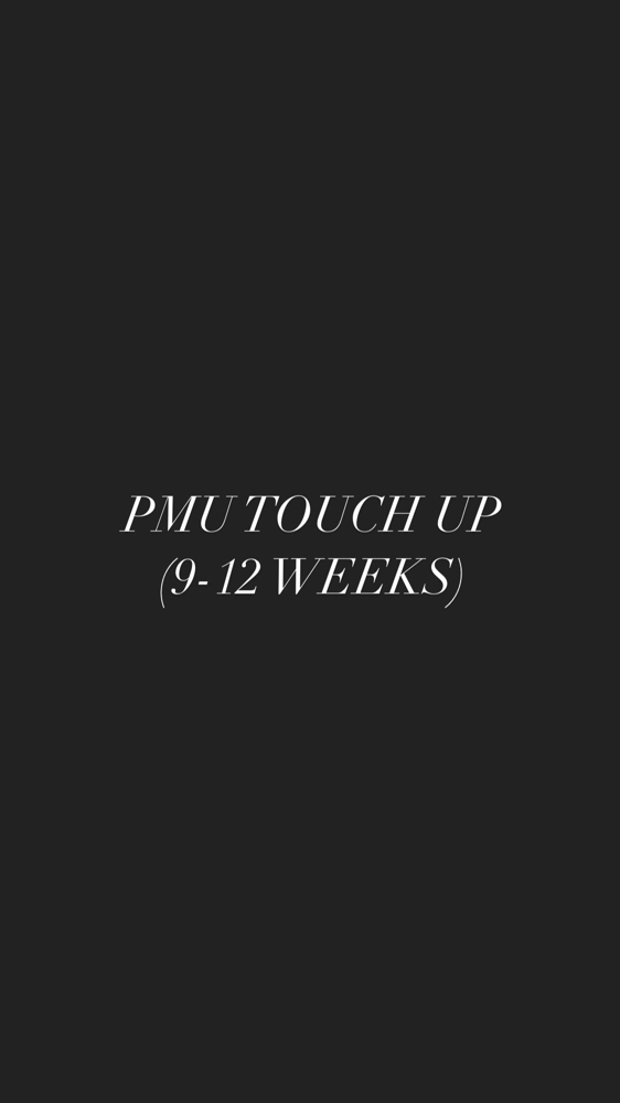 PMU touch up (9-12 weeks)