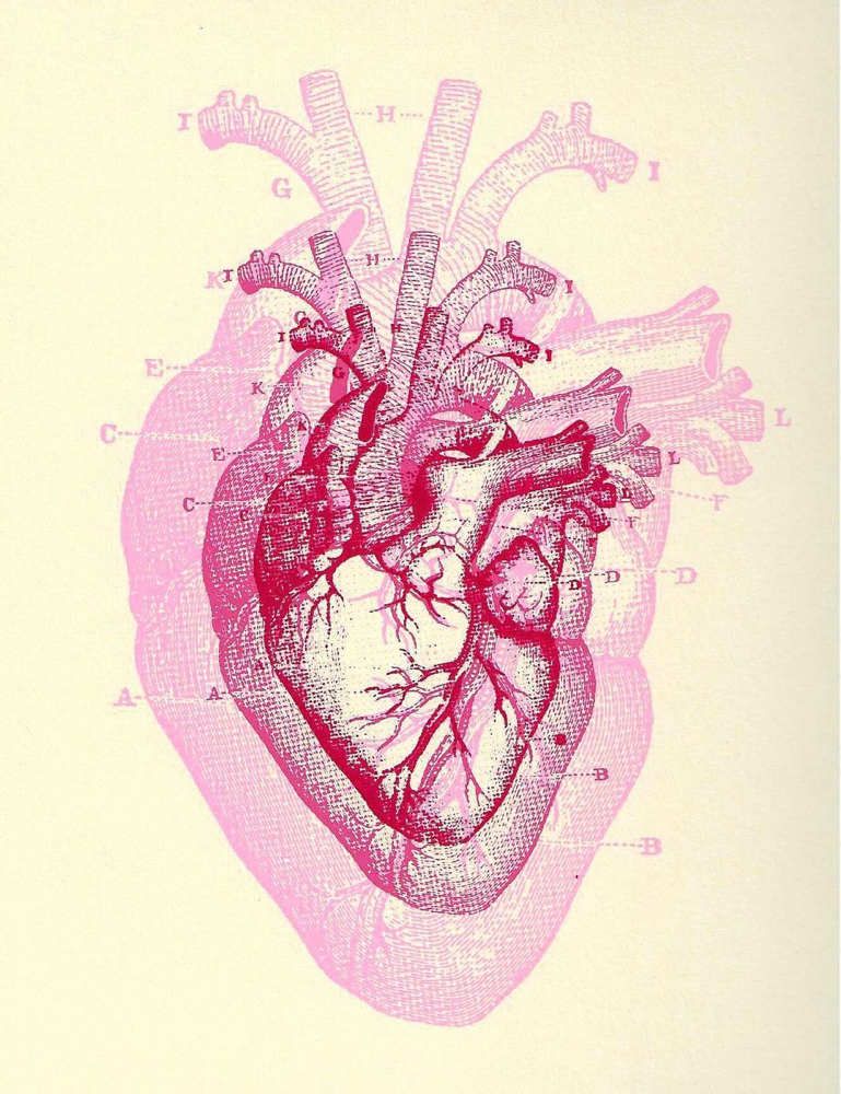 Fire Cupping + Moxa🌿