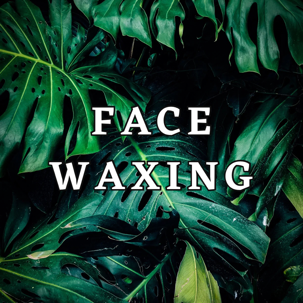 Nose Wax at Willow Esthetics on Garland in Spokane, WA