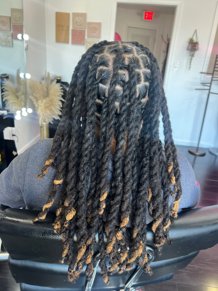 Color Locs Tips