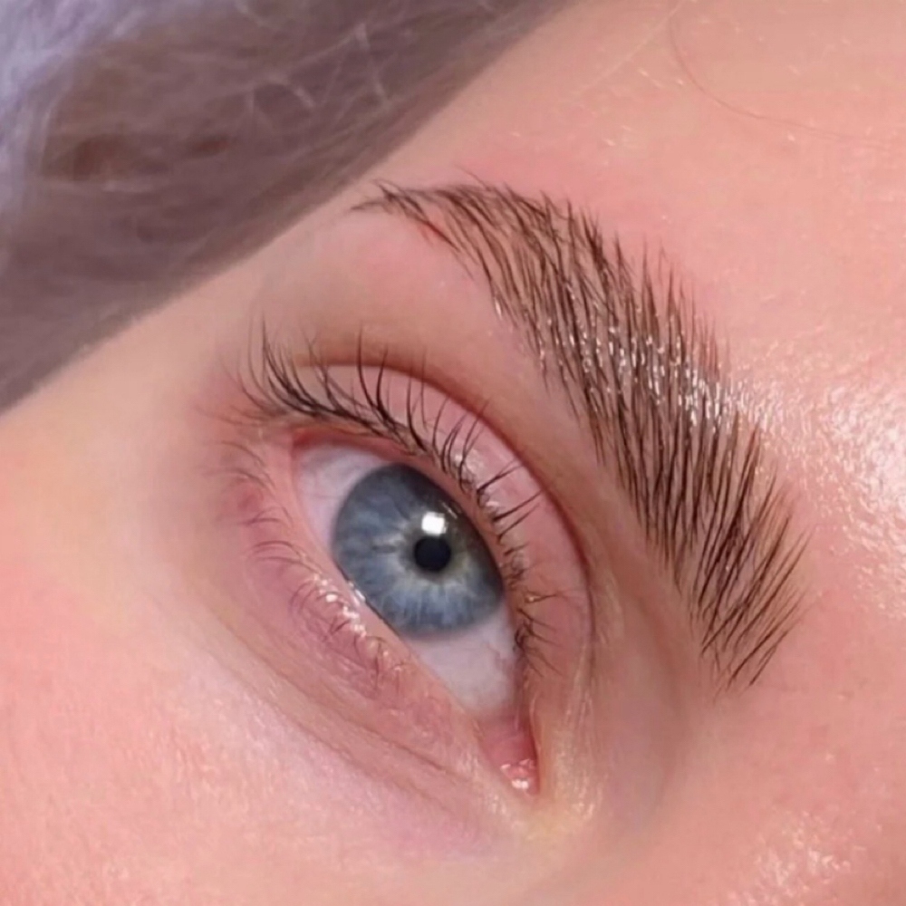 Brow Lamination at Norwegian Skin & Lash in Lakewood, CO