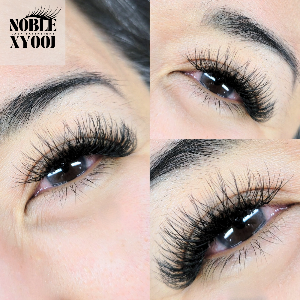 FILL: K-Drama at Noblexyoojlash in Elm Grove, WI