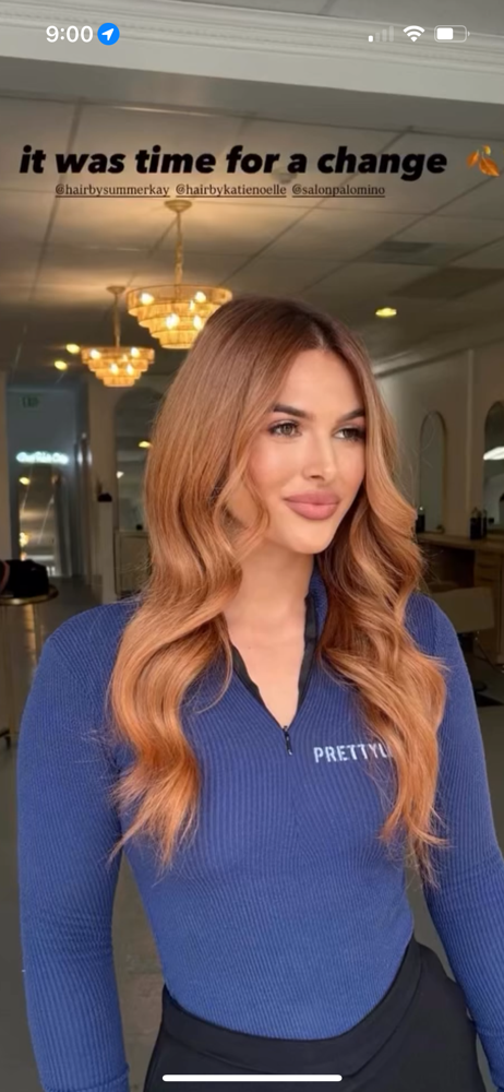 The Sorrel - Solid Global Color