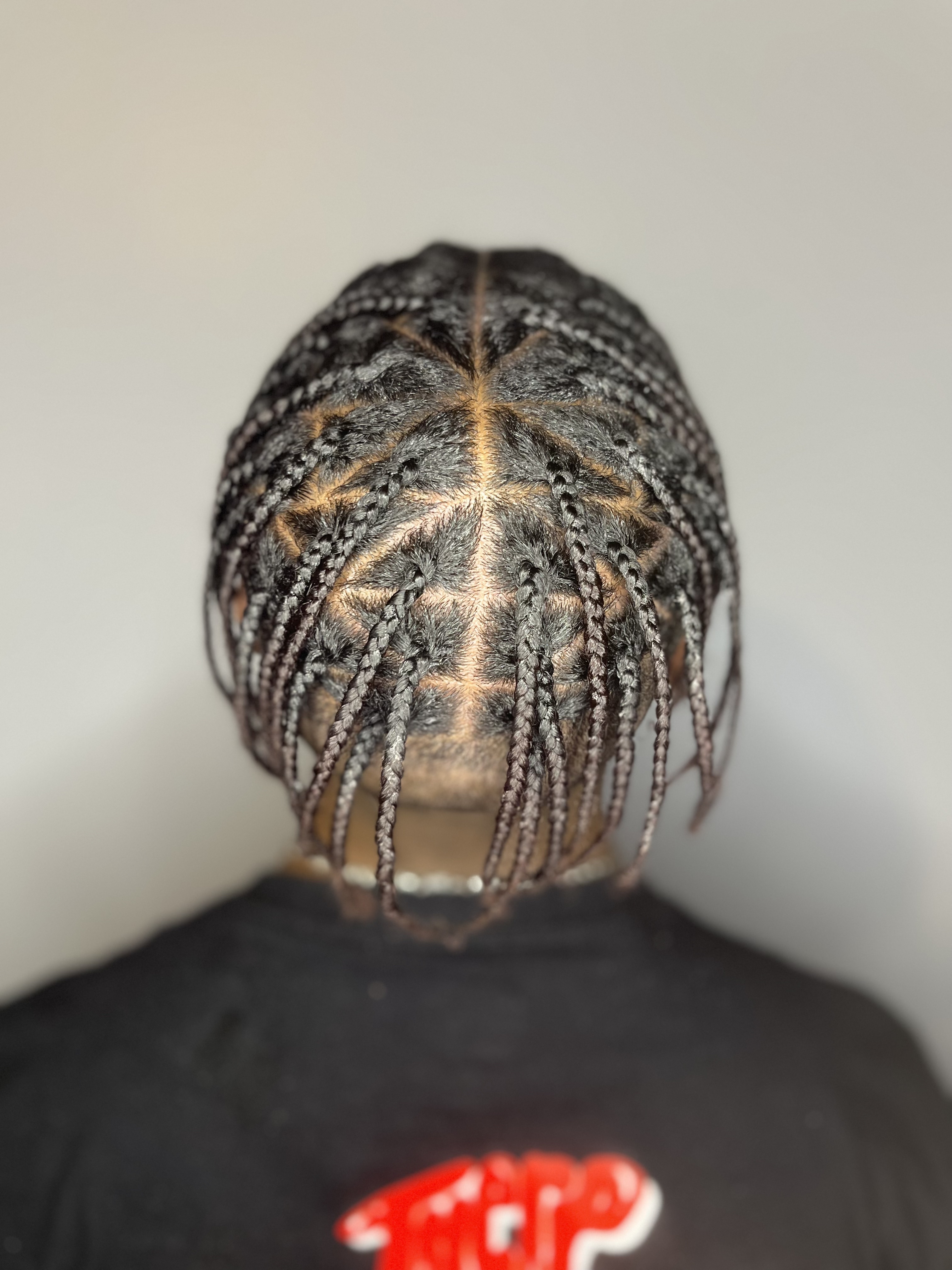 Two Strand Twist/Plaits Style at RG Versatile Beauty in Saint Louis, MO
