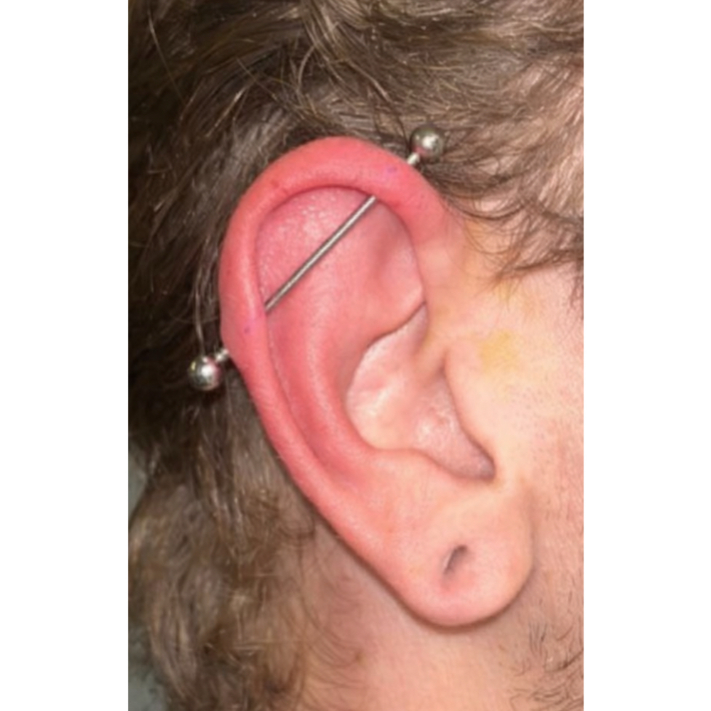 Industrial 14+ at Wildflower Piercing Company in Alturas, CA
