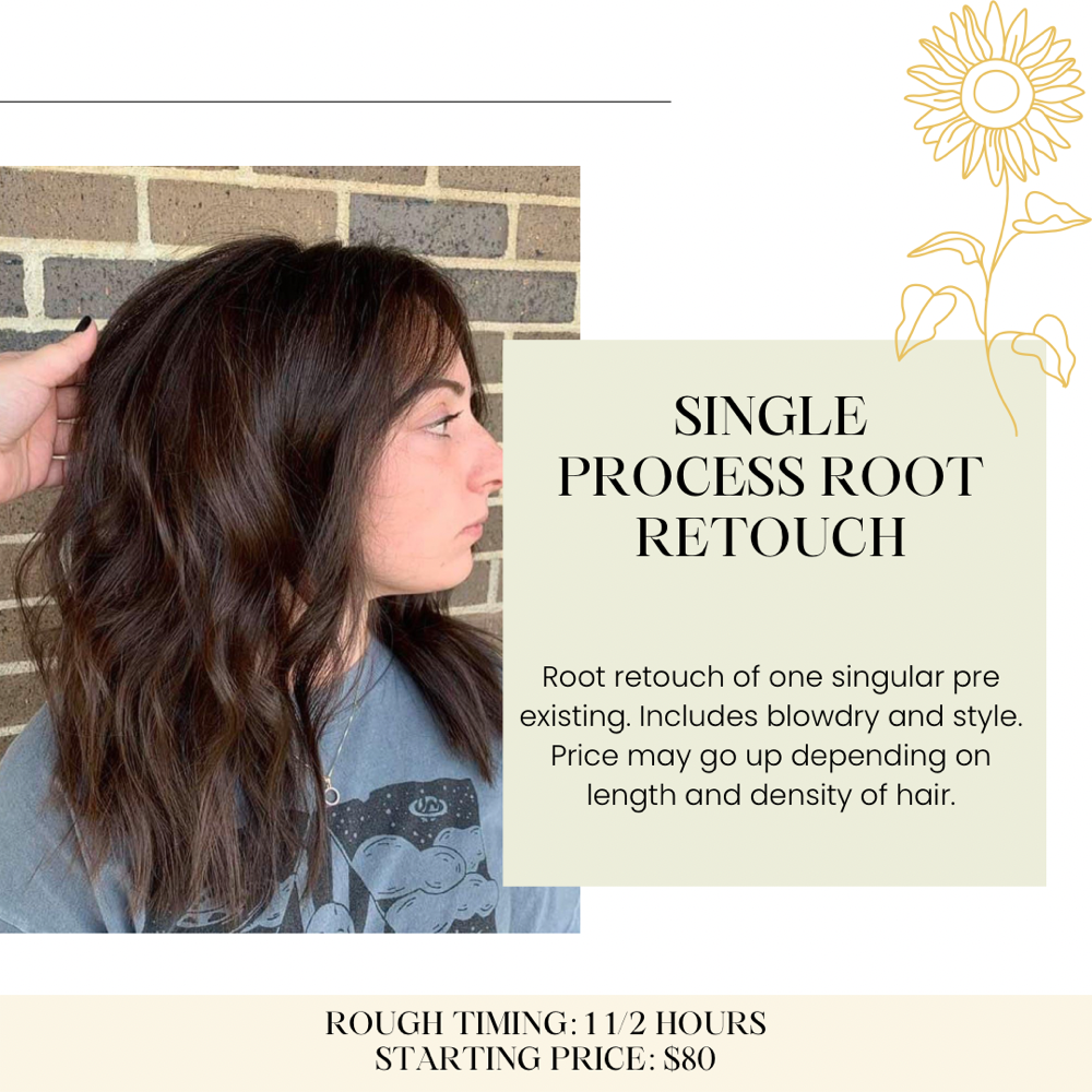 Single Process Color Root Retouch