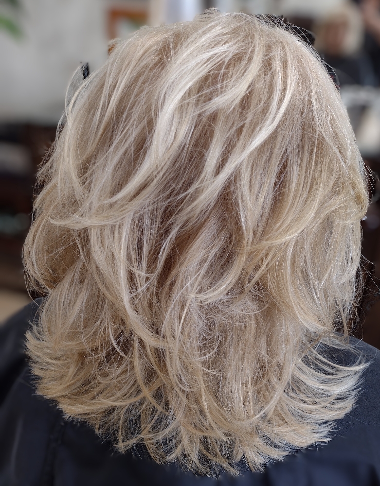 Gray Retouch W/Highlights Lowlights