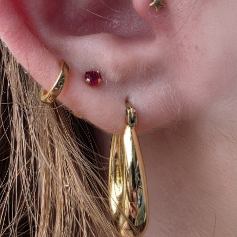 Earlobe (Pair) at The Skin Lounge in MARQUETTE, MI