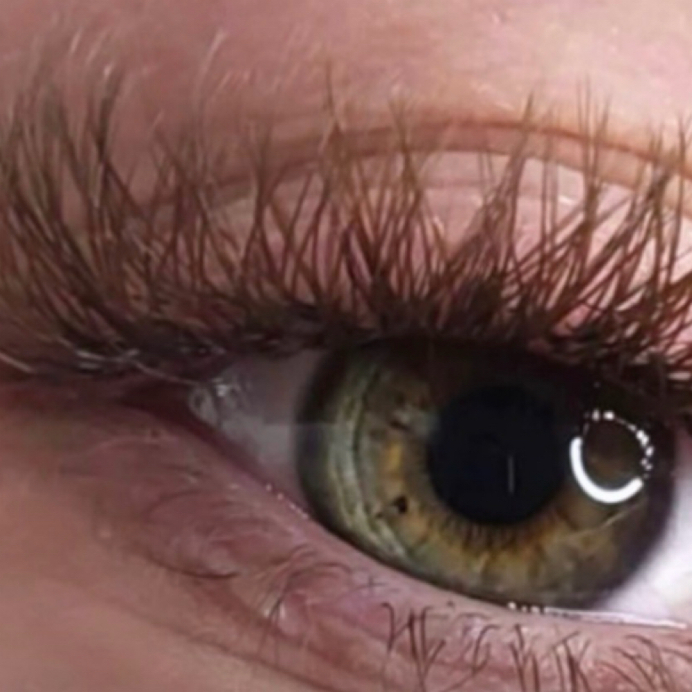 Lash Brown Y Set at Dahlias Wellness Center in passaic, NJ