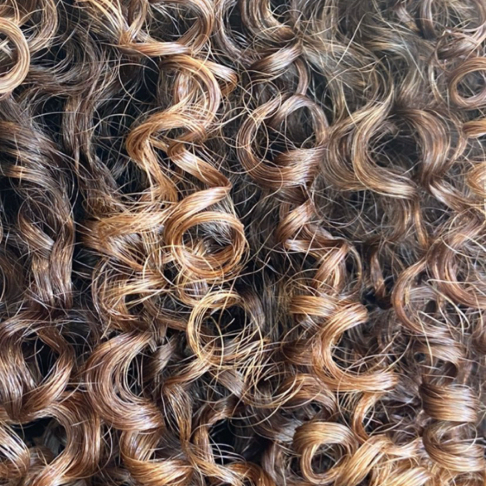 NoFilter Curly Package at No Filter by Kailyn Rossi in Englewood, NJ