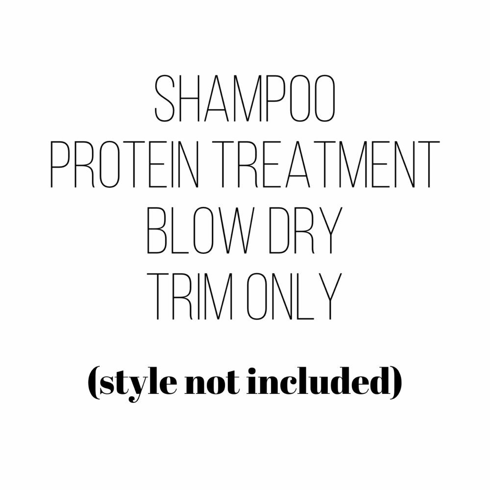 Shampoo/Protein/BlowDry/Trim ONLY