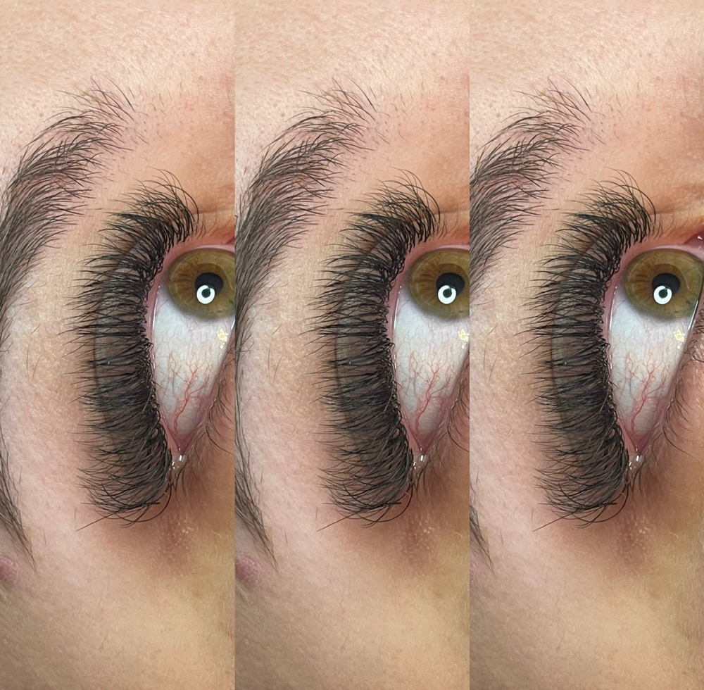 Volume Lashes