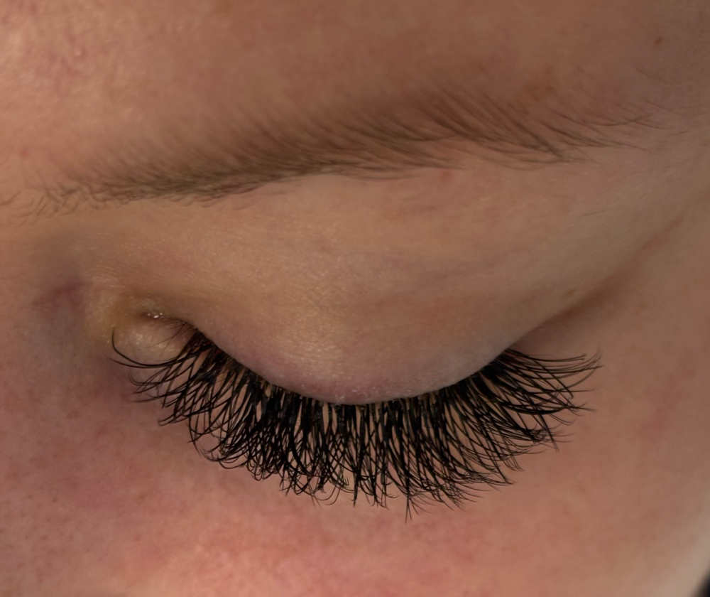 Volume Lashes