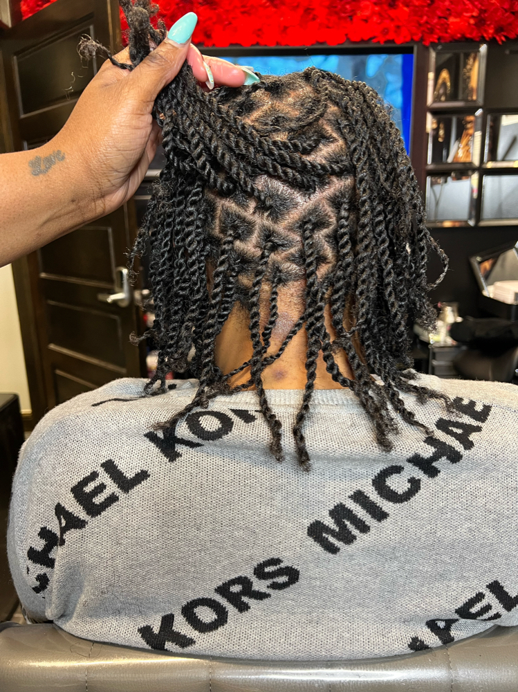 Two Strand Twists