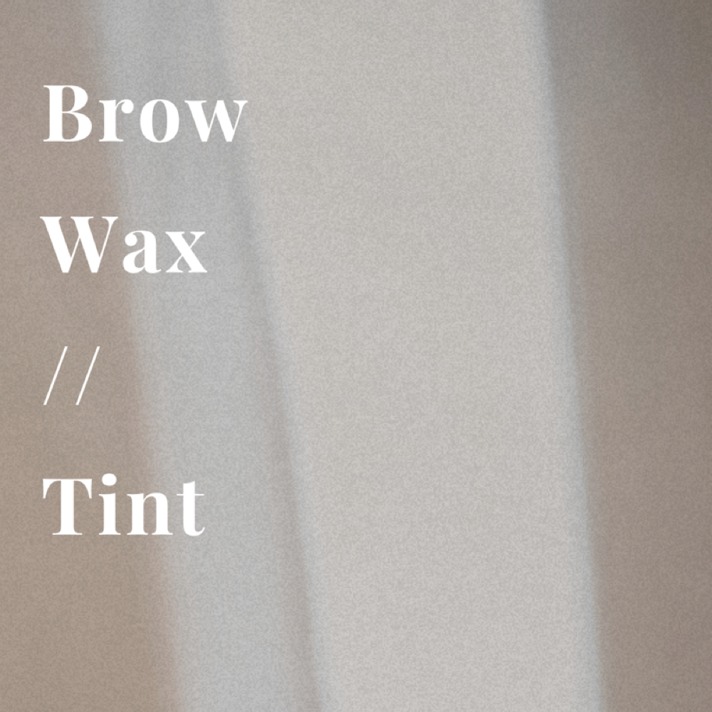 Brow Wax/Tint at Esthetics By Erica Jayde in East Patchogue, NY