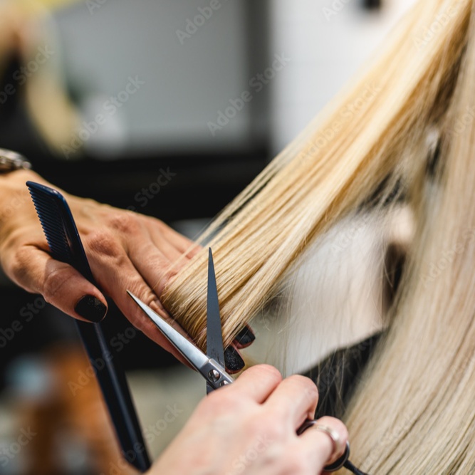 WOMEN'S HAIRCUT at Tara Mann Hair in Severna Park, MD