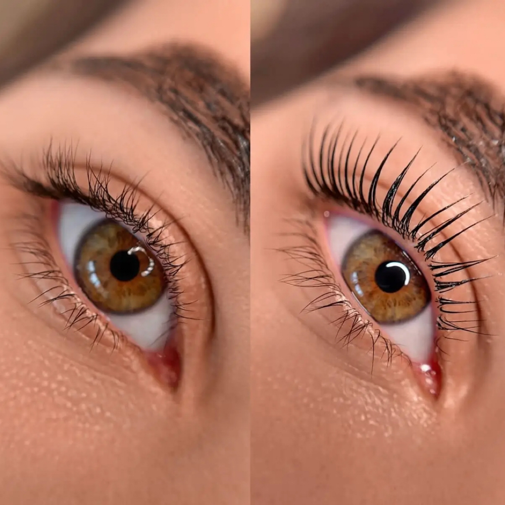 Lash Lift & Tint at Modern Skin by Michelle in Fort Collins, CO