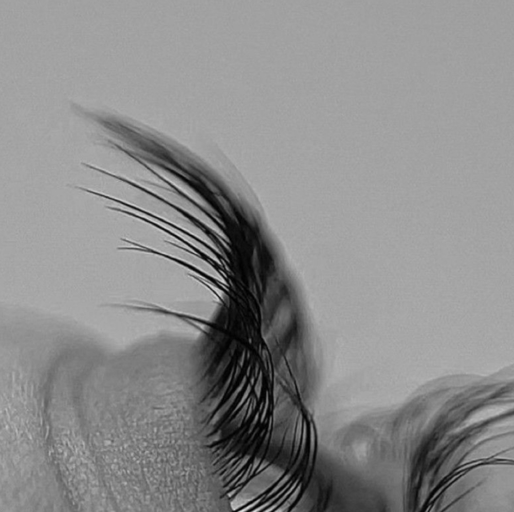 EyelashClusters at kiley cogan in seymour, TN