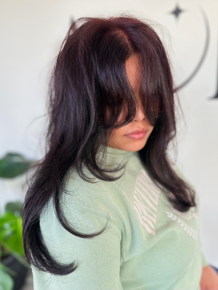 SOLID COLOR