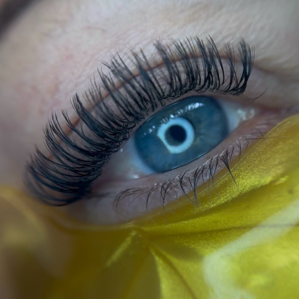Classic Full Set UV at Blissful Brows & Lashes in Thornton, CO