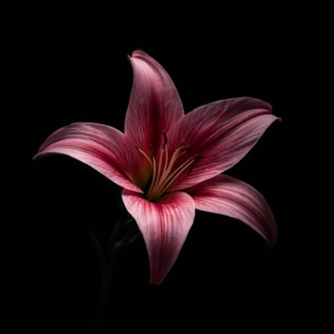 Shampoo + Blowout + Iron at JR Hair Co. in Lincoln, NE