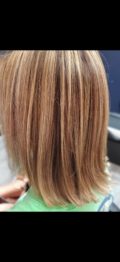 Haircut w/o Blow Dry