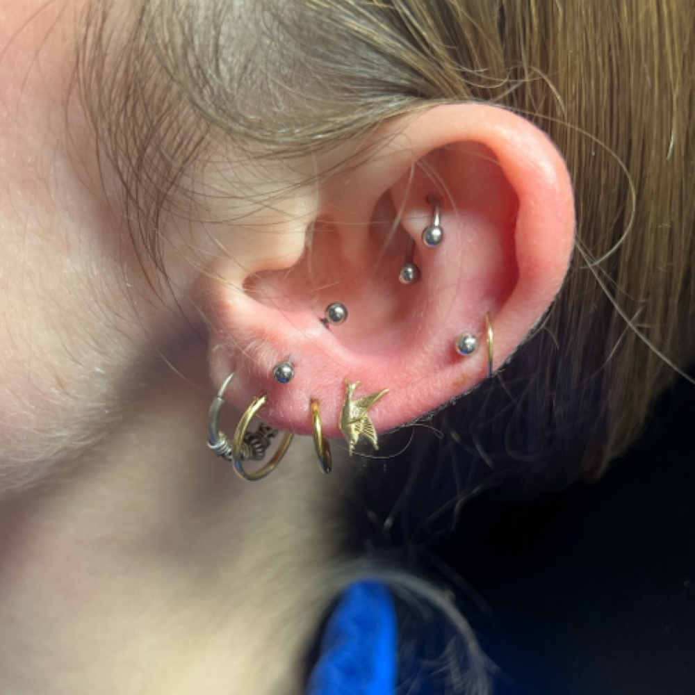 Ear Piercings at Candi Coated Ink in Detroit, MI