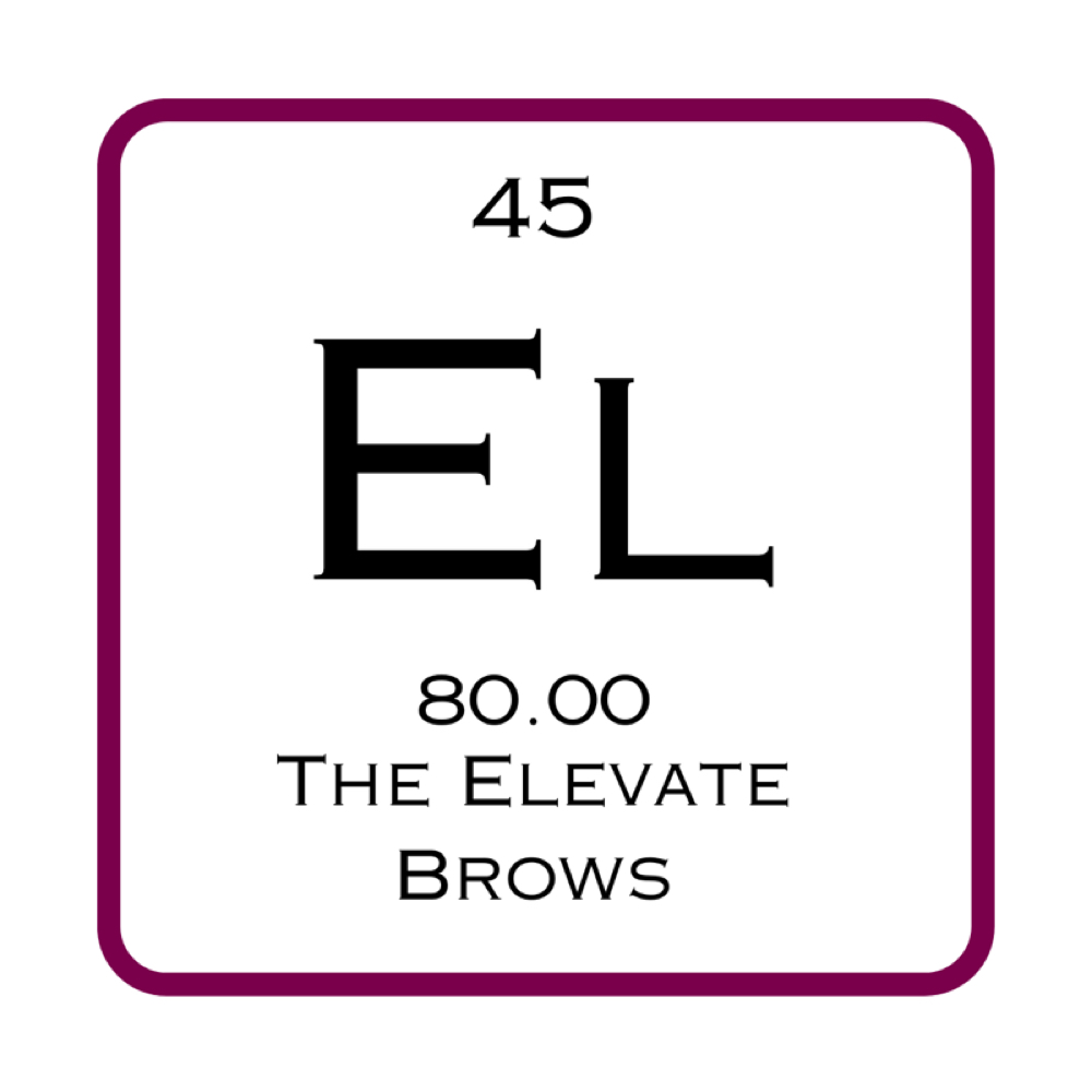 The Elevate at Element 79 Spa & Salon in Dunn, NC