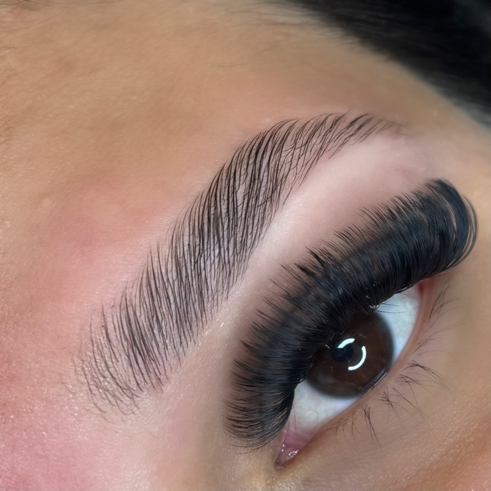 Eyebrow Lamination