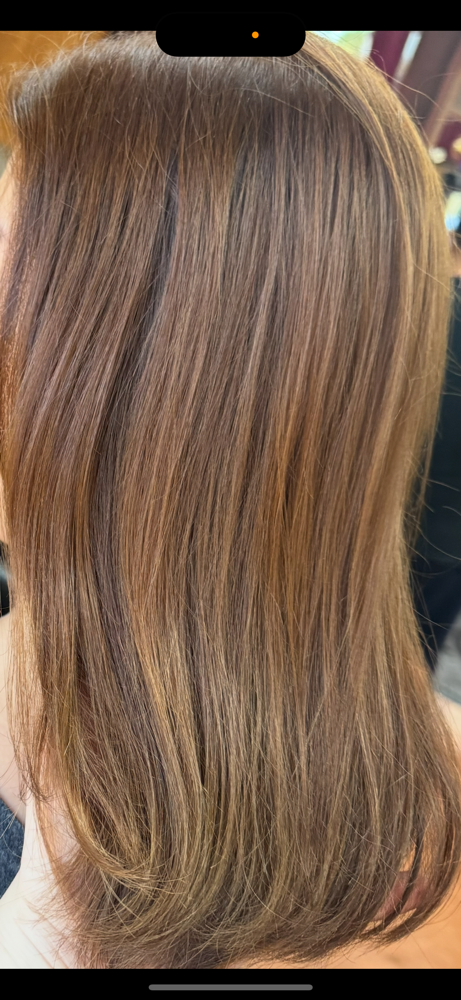 All Over Color at Lily Dean Hairstyling in Valencia, CA