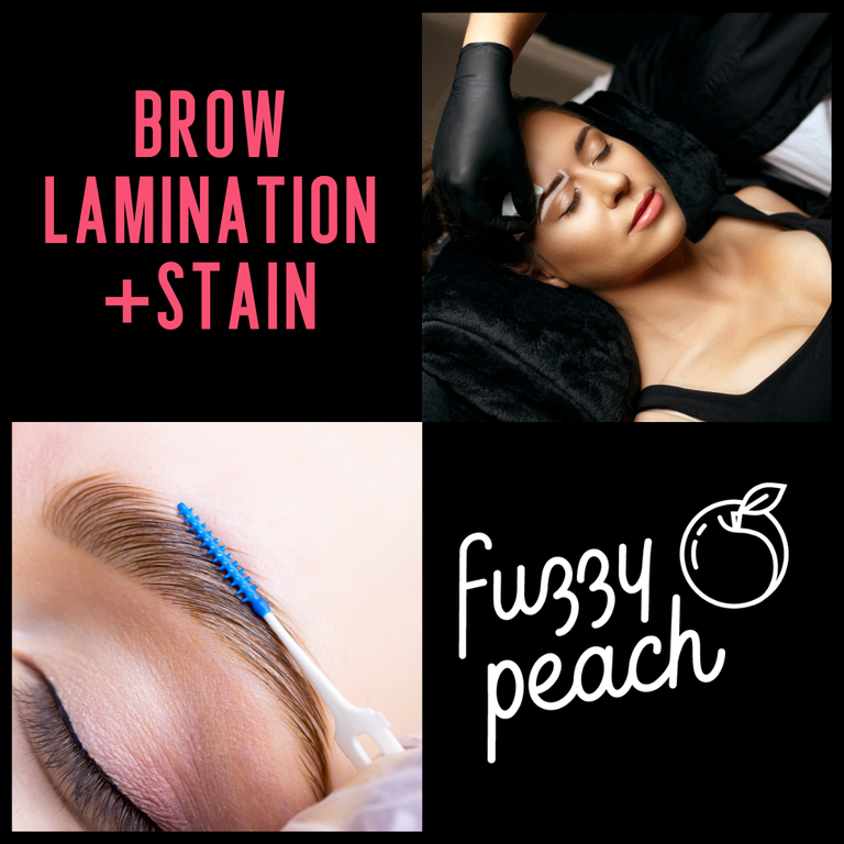 Brow Lamination + Stain/tint