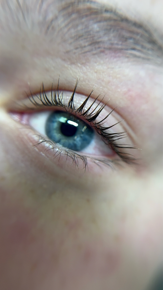 Lash Lift + Tint