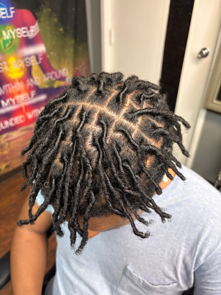 Starter Locs