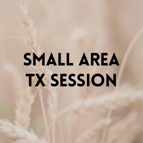 SMALL Area | Sessions