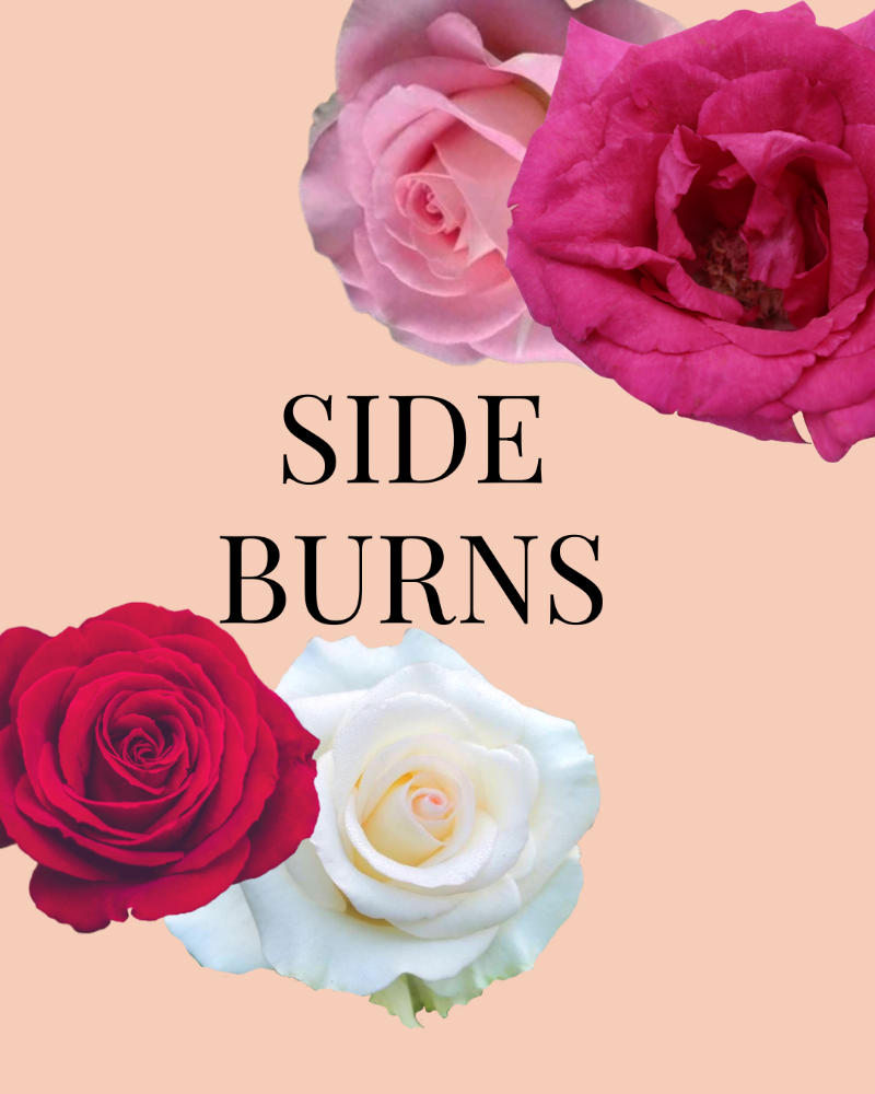 SIDE BURNS
