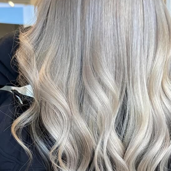 BLEACH + TONE FULL HEAD at Firefly Hair Company LLC in CENTENNIAL, CO