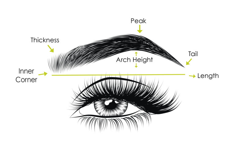 Brow Wax & Shape