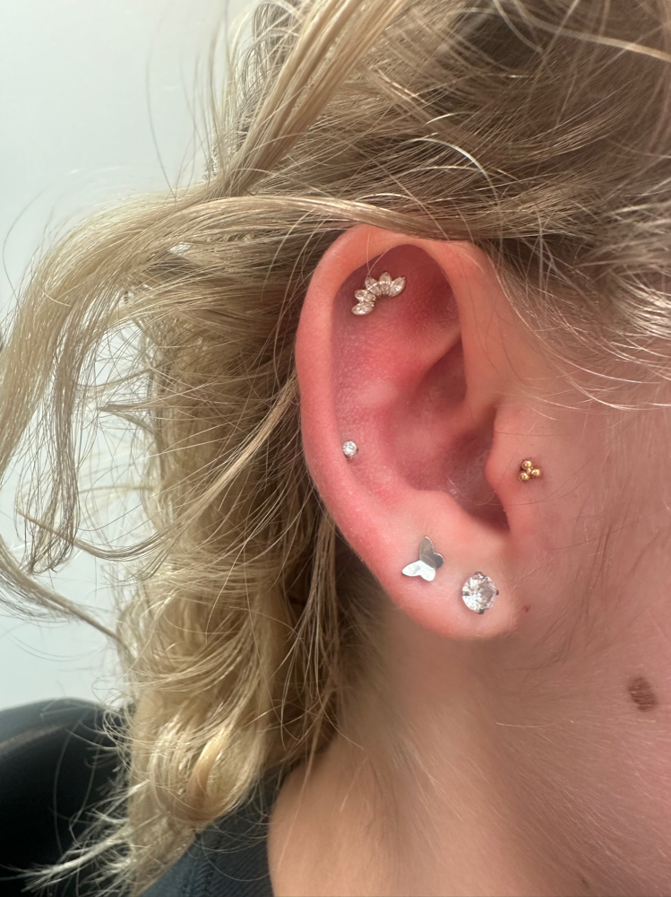 4 Basic Piercings