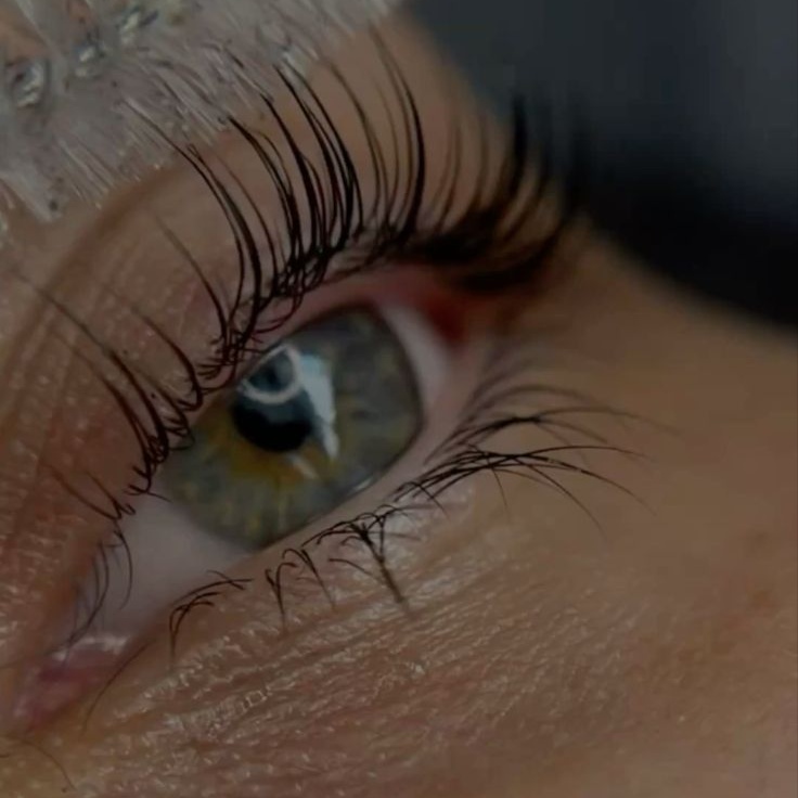 Korean Lash Lift at Cove Skin Studio in Manhattan, KS