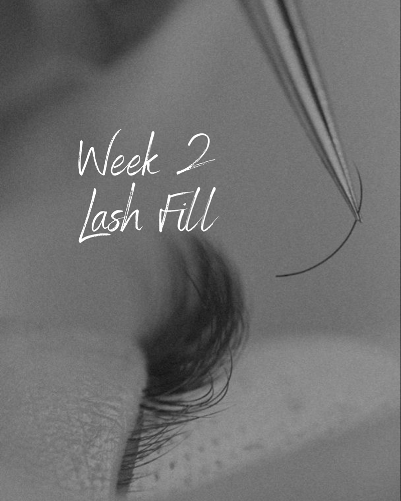 Week 2 Lash Fill at Landin Smith in Asheville, NC
