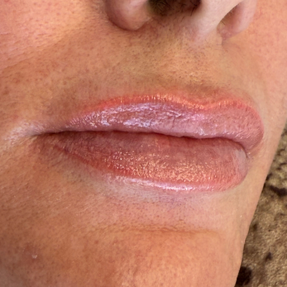 Lip Liner Only at J Artistry in Sherman, TX