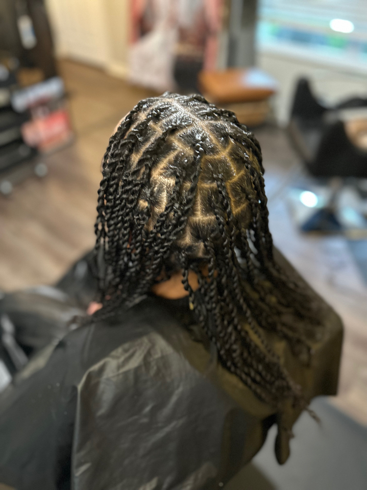 Twists (Natural Styles) Two Strand