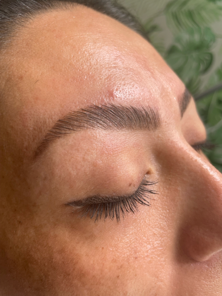 Brow Wax + Tint & Shaping