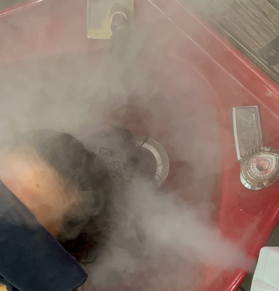 Steam Conditioner