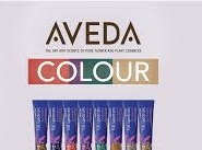 Color And Blow Dry