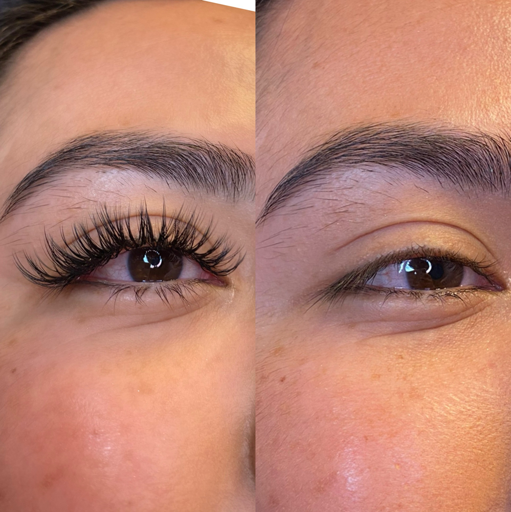 Wet Lash Or Angel Lash
